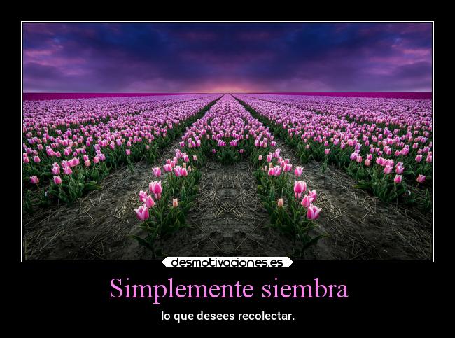 Simplemente siembra - 