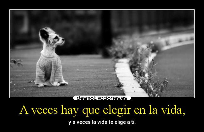 A veces hay que elegir en la vida, -