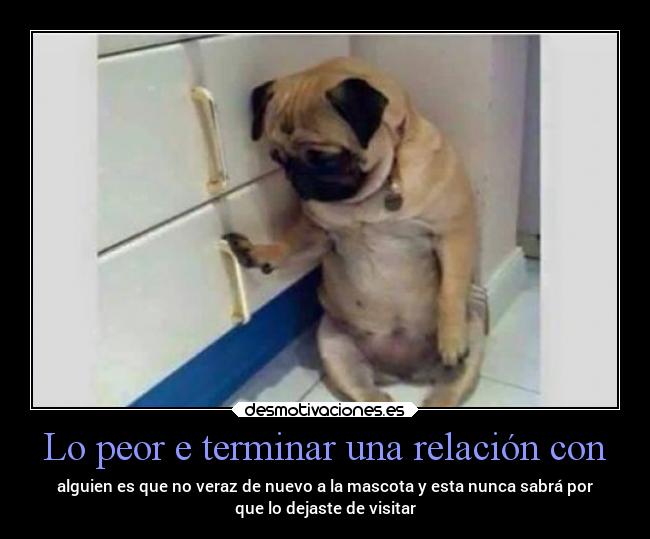 Lo peor e terminar una relación con - alguien es que no veraz de nuevo a la mascota y esta nunca sabrá por
que lo dejaste de visitar