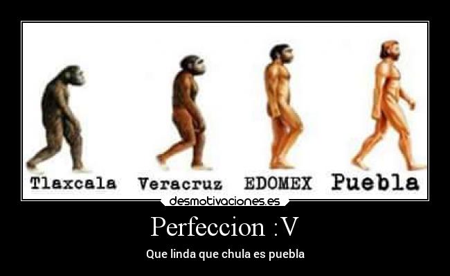 Perfeccion :V - Que linda que chula es puebla
