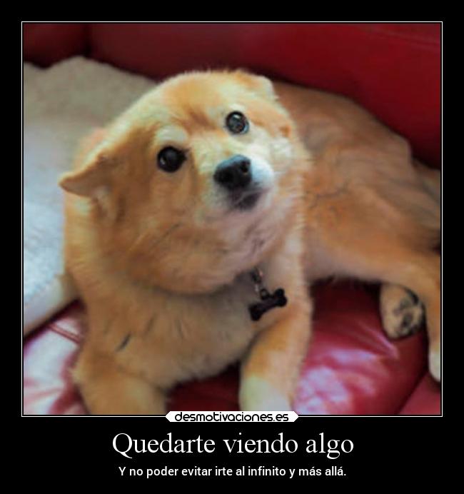 carteles alegria desmotivaciones humor animales locura suenos desmotivaciones