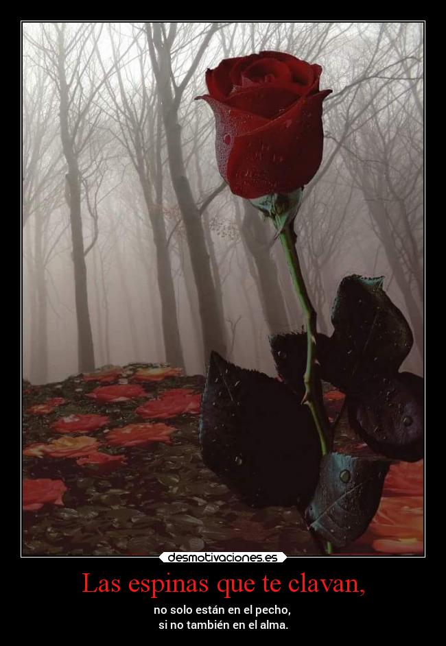 Las espinas que te clavan, - no solo están en el pecho,
si no también en el alma.