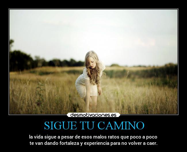 SIGUE TU CAMINO - la vida sigue a pesar de esos malos ratos que poco a poco 
te van dando fortaleza y experiencia para no volver a caer.