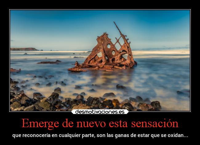 carteles alma lovemylife antisocial kanmout3liksoufi desmotivaciones