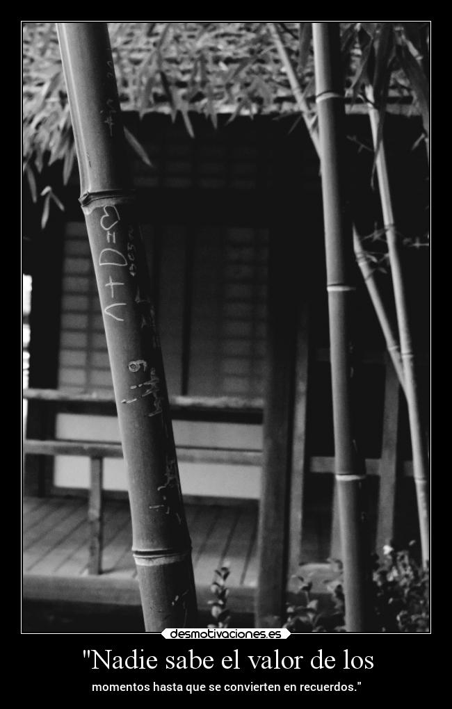 Nadie sabe el valor de los - momentos hasta que se convierten en recuerdos.
