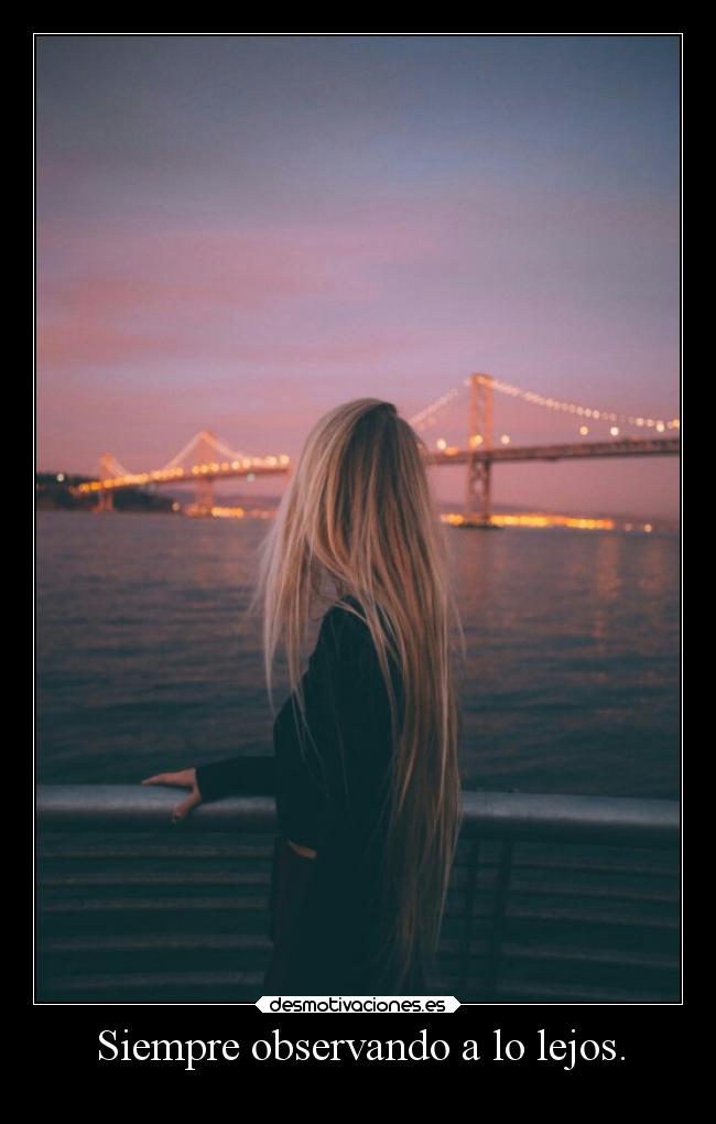 Siempre observando a lo lejos. -