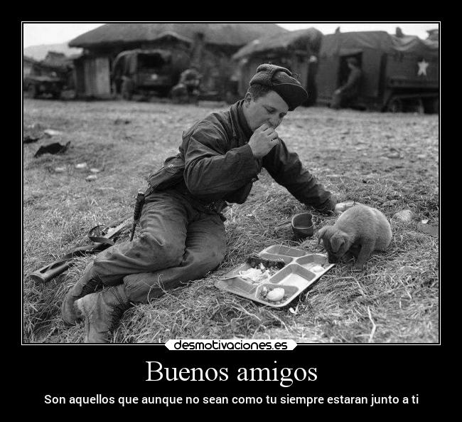 Buenos amigos - Son aquellos que aunque no sean como tu siempre estaran junto a ti