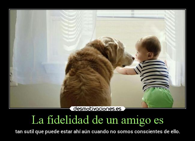 La fidelidad de un amigo es -