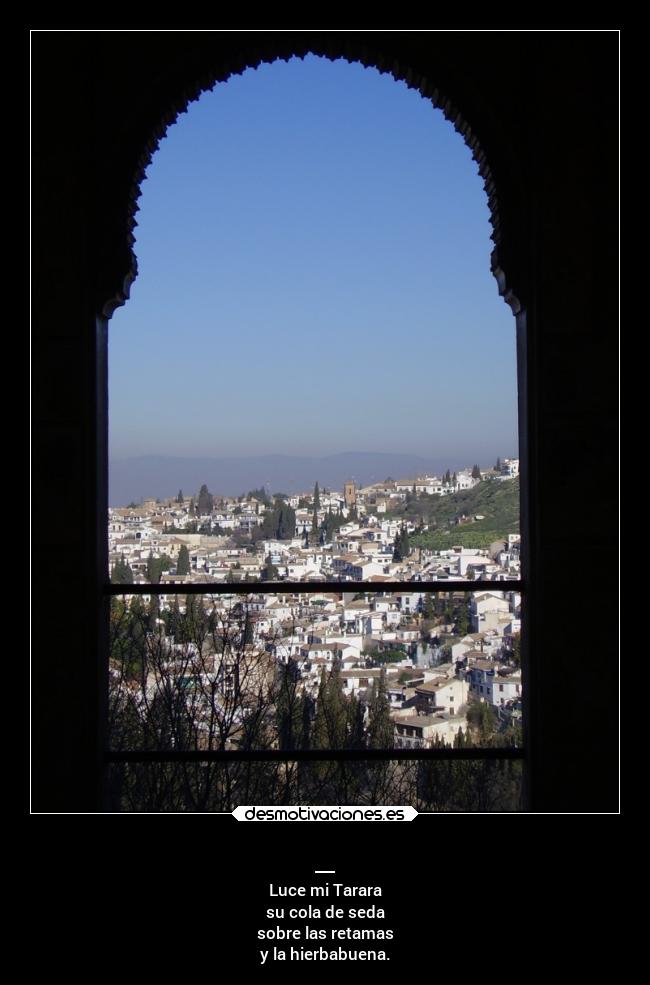 _ - Luce mi Tarara
su cola de seda
sobre las retamas
y la hierbabuena.