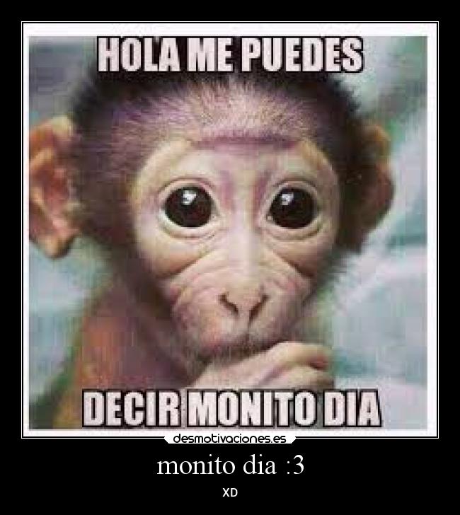 monito dia :3 - XD