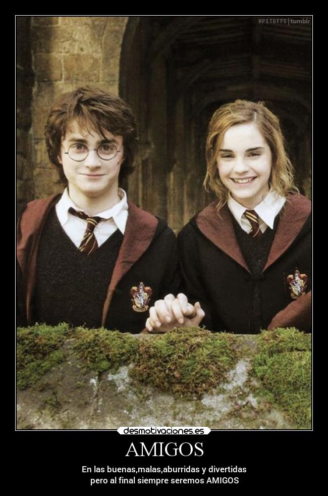 carteles amigos amigos desmotivaciones
