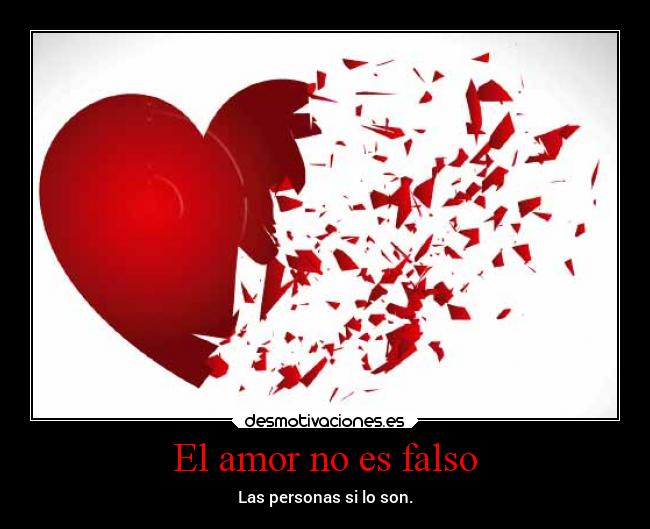 El amor no es falso -