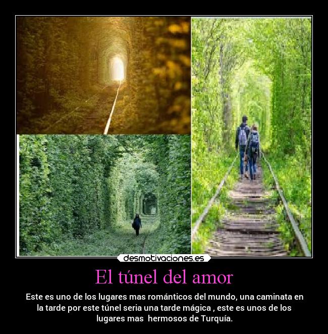 El túnel del amor - Este es uno de los lugares mas románticos del mundo, una caminata en
la tarde por este túnel seria una tarde mágica , este es unos de los
lugares mas hermosos de Turquía.
