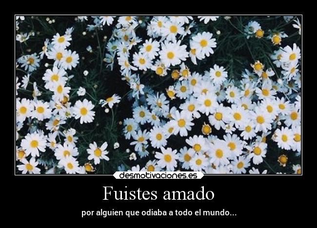 Fuistes amado - por alguien que odiaba a todo el mundo...