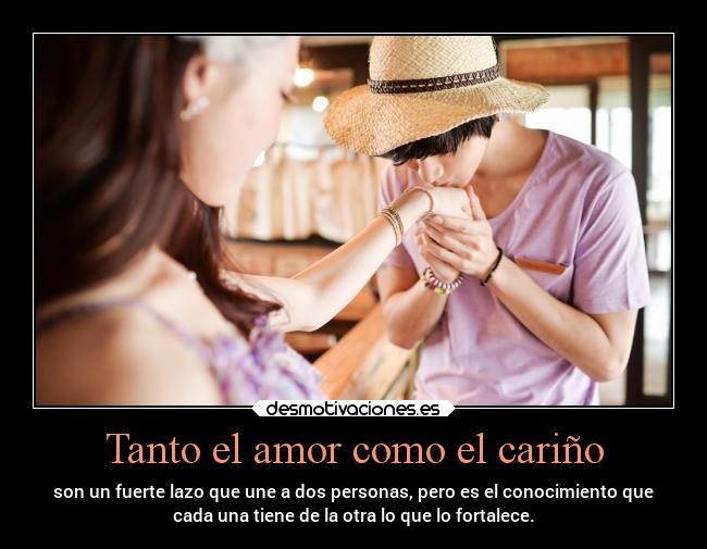 carteles amor vida pensamientos amor sentimientos projectd desmotivaciones