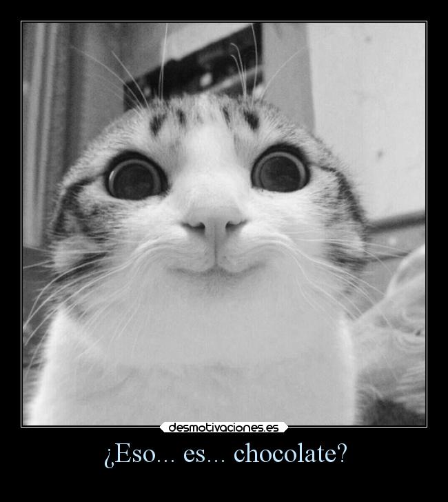 ¿Eso... es... chocolate? -