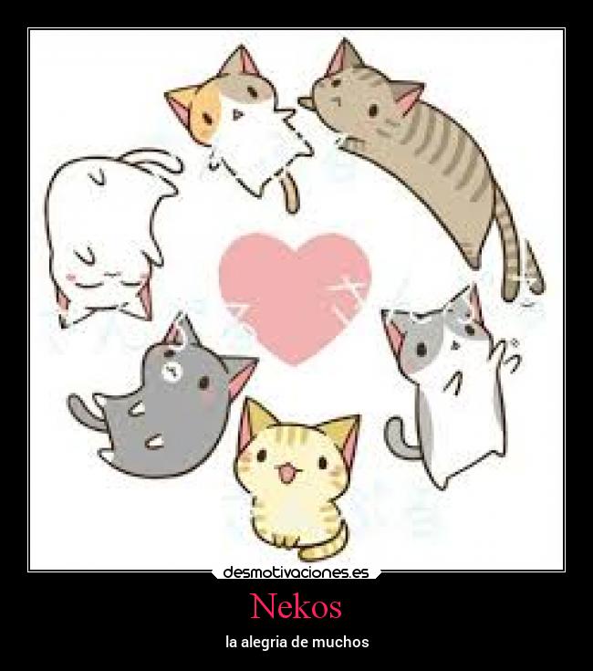 Nekos -