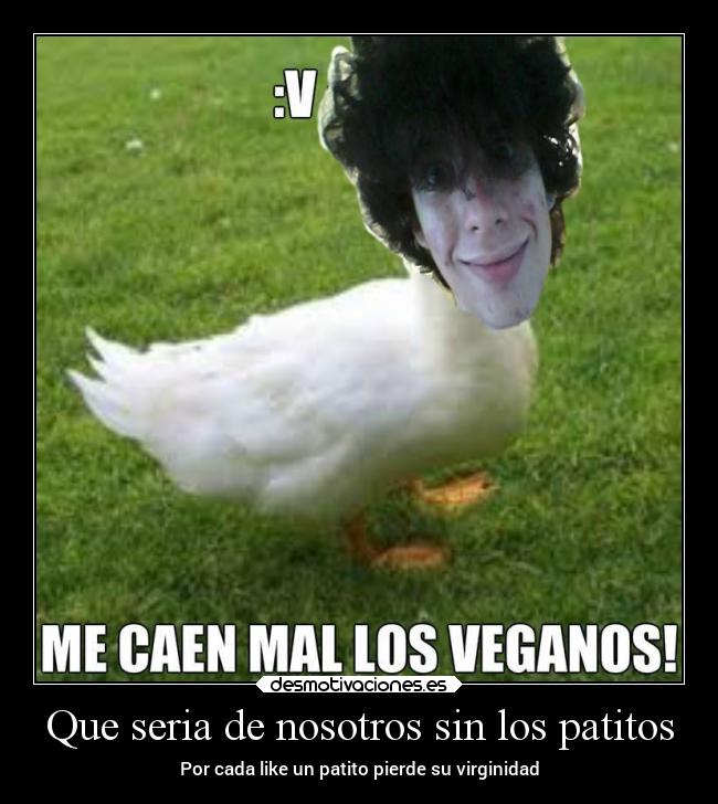 Que seria de nosotros sin los patitos - 