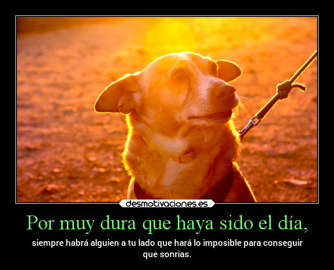 Por muy dura que haya sido el día, -