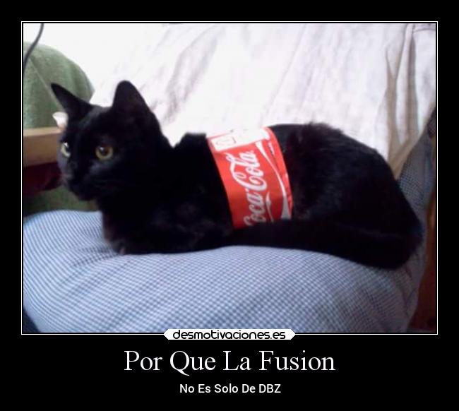 Por Que La Fusion - 