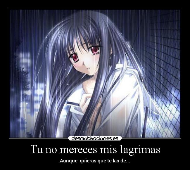 Tu no mereces mis lagrimas - 