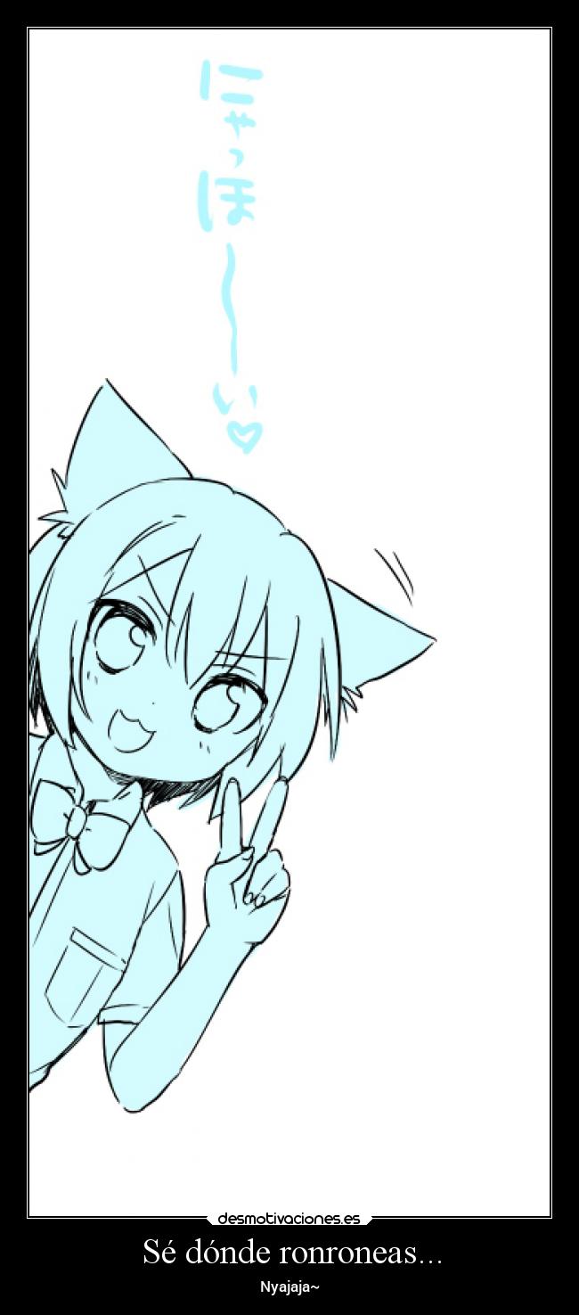 Sé dónde ronroneas... -
