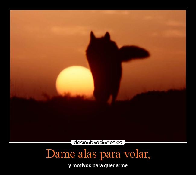 Dame alas para volar, -