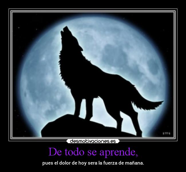 De todo se aprende, - pues el dolor de hoy sera la fuerza de mañana.