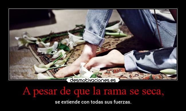 carteles ausencia bts jungkookie jungkook rama taehyung jimin run correr desmotivaciones