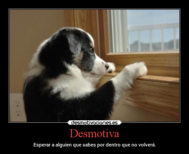 carteles caracter desmotivaciones