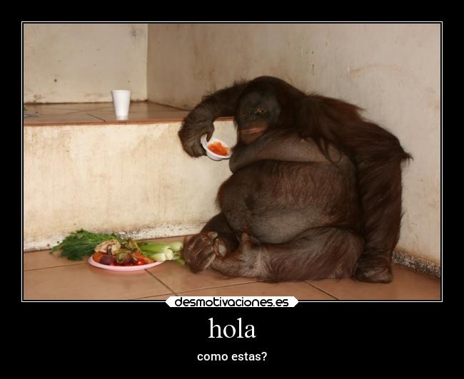 carteles celos guerra desmotivaciones