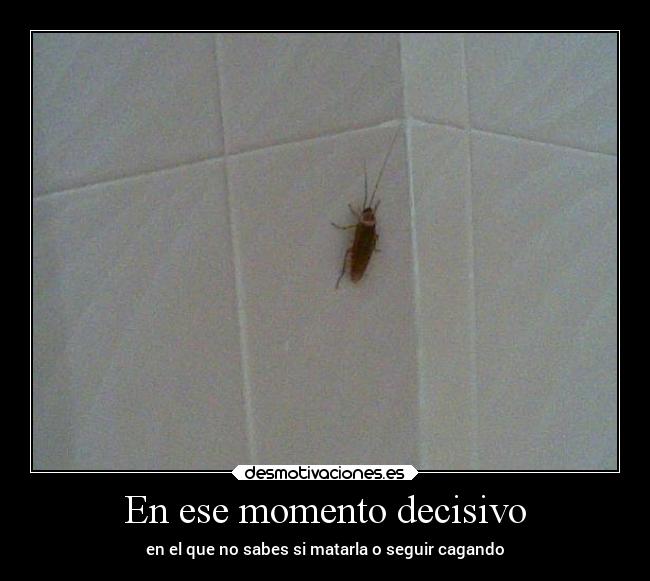 carteles chiste humor cagar asco desmotivaciones