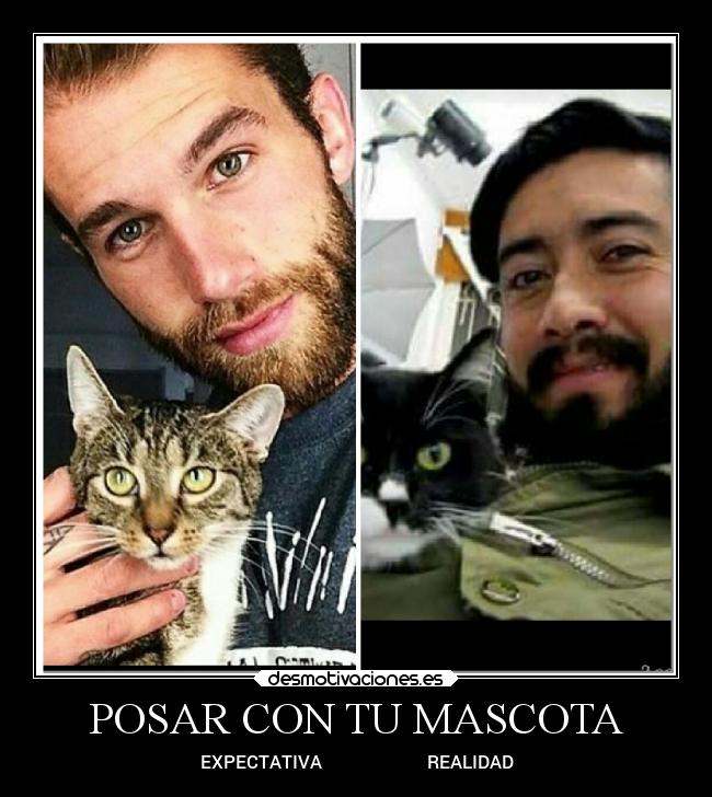 carteles chiste desmotivaciones