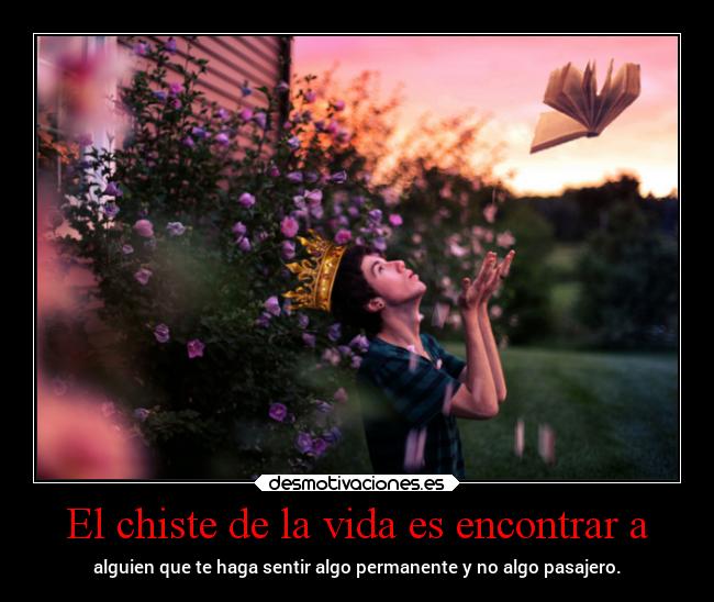 El chiste de la vida es encontrar a - 