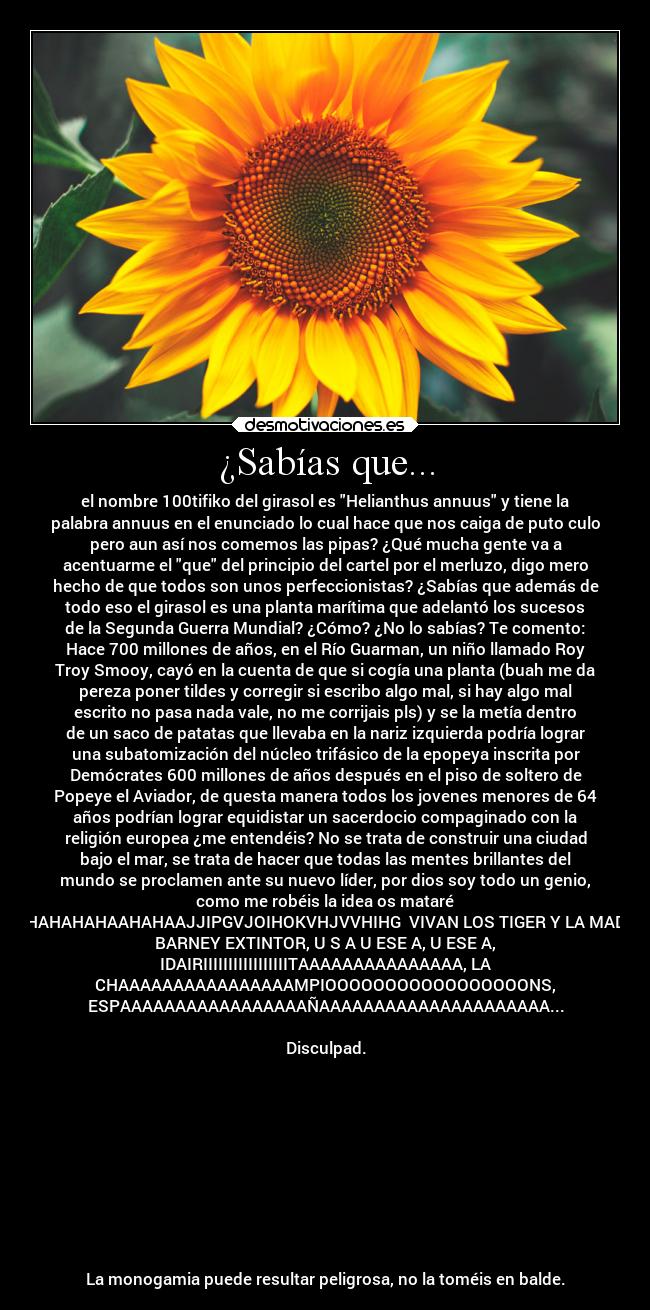 ¿Sabías que... - el nombre 100tifiko del girasol es Helianthus annuus y tiene la
palabra annuus en el enunciado lo cual hace que nos caiga de puto culo
pero aun así nos comemos las pipas? ¿Qué mucha gente va a
acentuarme el que del principio del cartel por el merluzo, digo mero
hecho de que todos son unos perfeccionistas? ¿Sabías que además de
todo eso el girasol es una planta marítima que adelantó los sucesos
de la Segunda Guerra Mundial? ¿Cómo? ¿No lo sabías? Te comento:
Hace 700 millones de años, en el Río Guarman, un niño llamado Roy
Troy Smooy, cayó en la cuenta de que si cogía una planta (buah me da
pereza poner tildes y corregir si escribo algo mal, si hay algo mal
escrito no pasa nada vale, no me corrijais pls) y se la metía dentro
de un saco de patatas que llevaba en la nariz izquierda podría lograr
una subatomización del núcleo trifásico de la epopeya inscrita por
Demócrates 600 millones de años después en el piso de soltero de
Popeye el Aviador, de questa manera todos los jovenes menores de 64
años podrían lograr equidistar un sacerdocio compaginado con la
religión europea ¿me entendéis? No se trata de construir una ciudad
bajo el mar, se trata de hacer que todas las mentes brillantes del
mundo se proclamen ante su nuevo líder, por dios soy todo un genio,
como me robéis la idea os mataré
HAHAHAHAHAHAAHAHAAJJIPGVJOIHOKVHJVVHIHG VIVAN LOS TIGER Y LA MADRE DE
BARNEY EXTINTOR, U S A U ESE A, U ESE A,
IDAIRIIIIIIIIIIIIIIIIITAAAAAAAAAAAAAAA, LA
CHAAAAAAAAAAAAAAAAMPIOOOOOOOOOOOOOOOOONS,
ESPAAAAAAAAAAAAAAAAAÑAAAAAAAAAAAAAAAAAAAAA...
Disculpad.
La monogamia puede resultar peligrosa, no la toméis en balde.