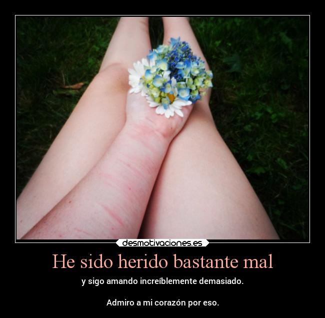 He sido herido bastante mal - y sigo amando increíblemente demasiado.
Admiro a mi corazón por eso.