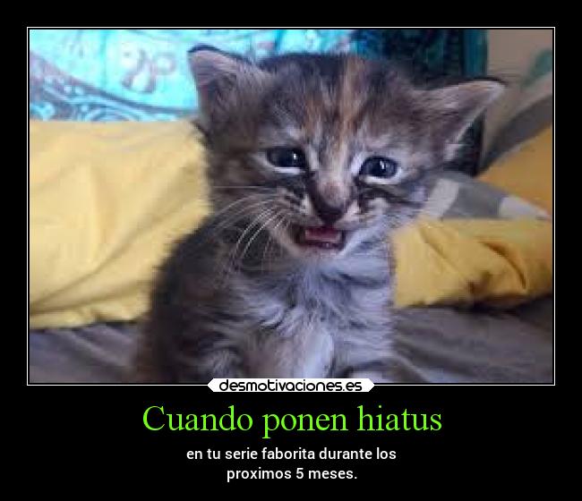Cuando ponen hiatus - en tu serie faborita durante los
proximos 5 meses.