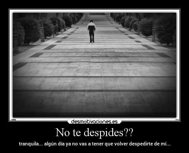 carteles desamor desmotivaciones