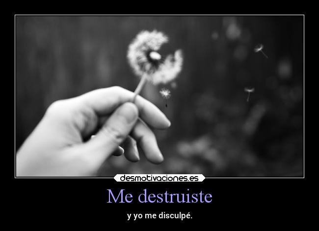 Me destruiste -