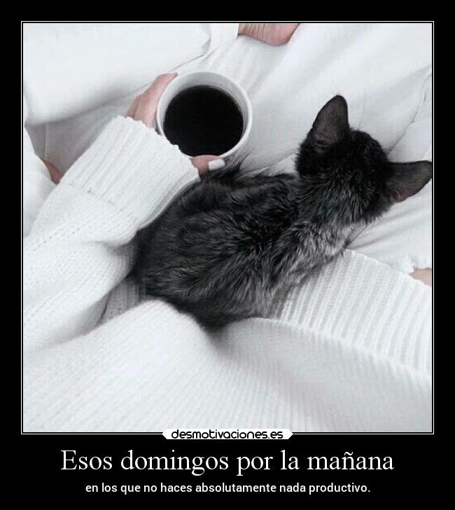 Esos domingos por la mañana - 