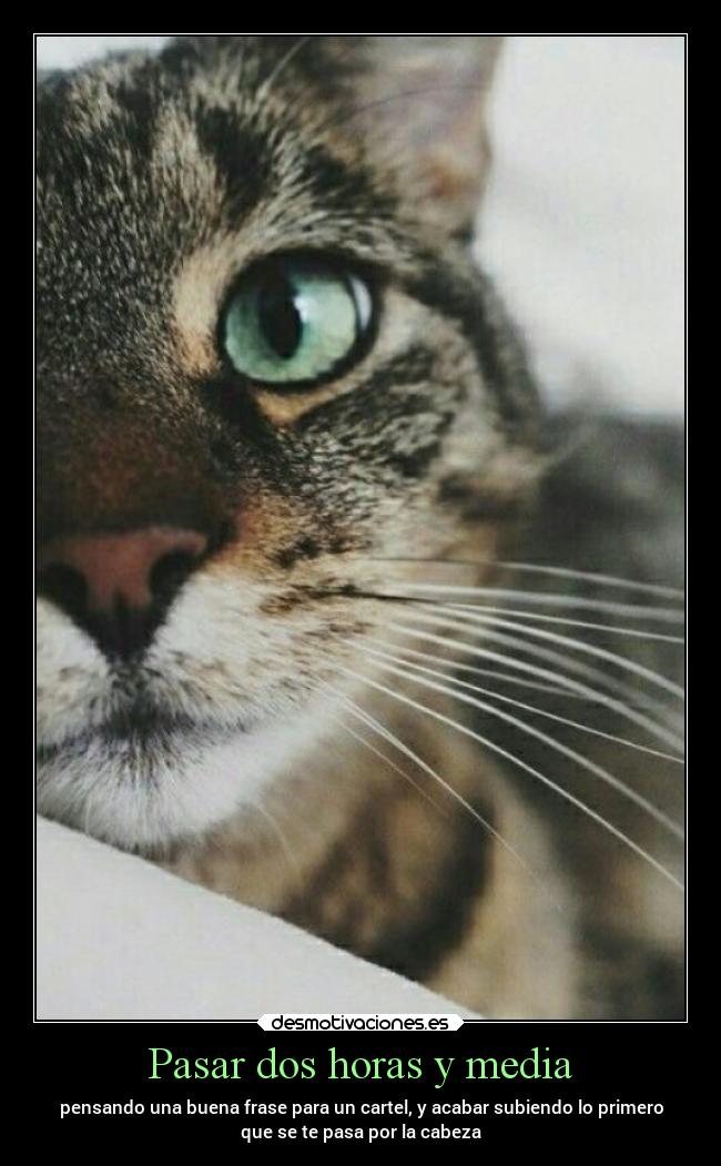 Pasar dos horas y media - pensando una buena frase para un cartel, y acabar subiendo lo primero
que se te pasa por la cabeza