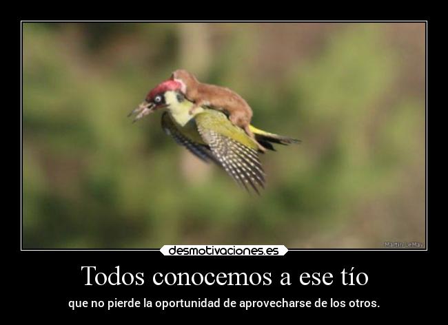 carteles desmotivaciones sociedad caracter pendejo malicia ego pesoenlaespalda desmotivaciones