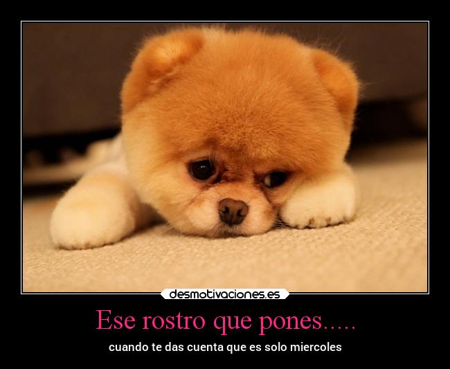 Ese rostro que pones..... -