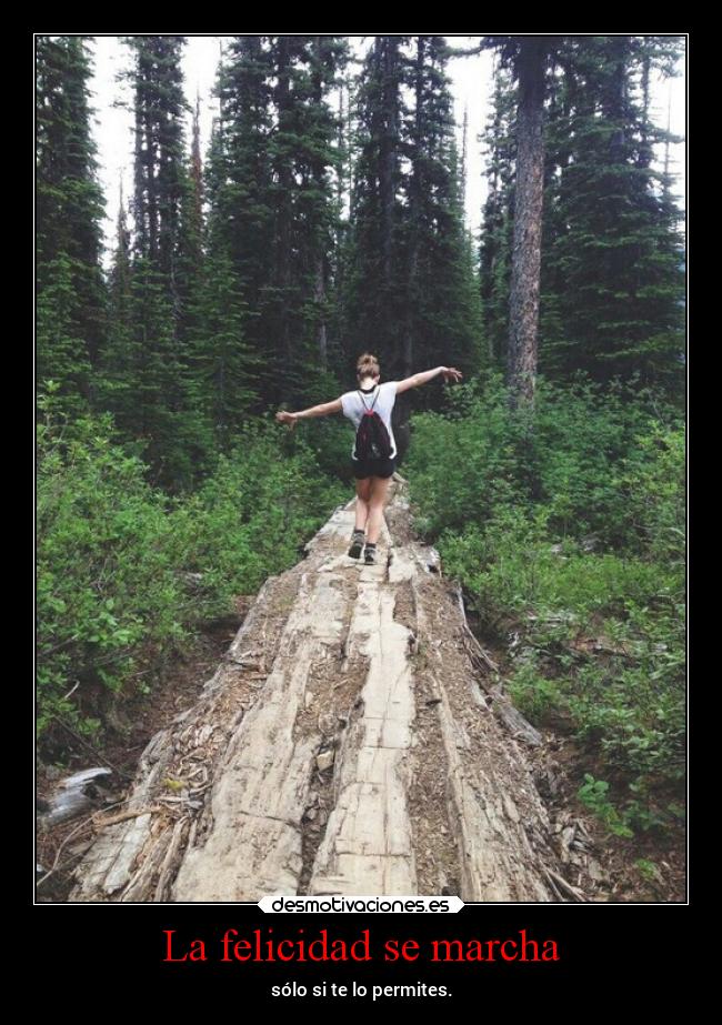 La felicidad se marcha - 