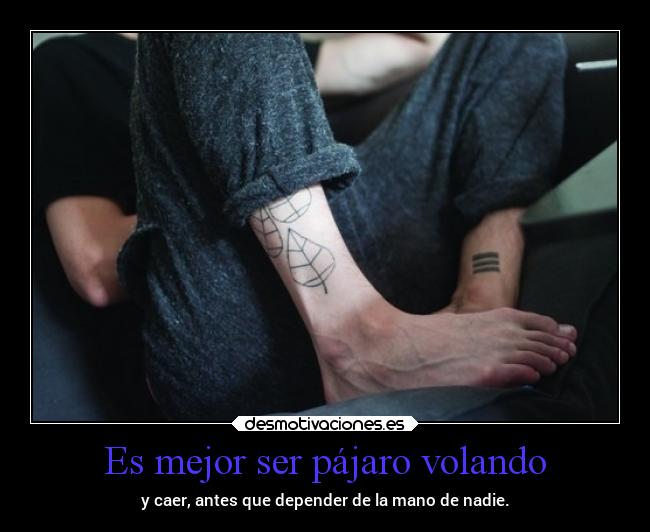 Es mejor ser pájaro volando - y caer, antes que depender de la mano de nadie.