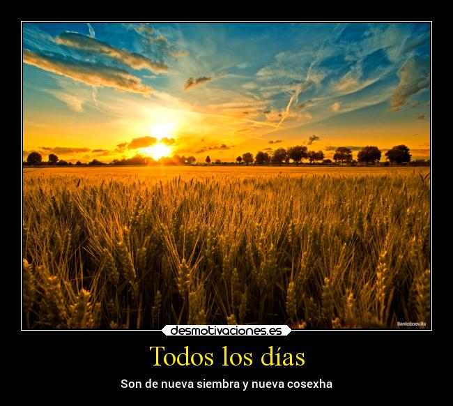 Todos los días -