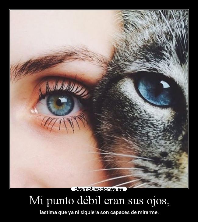 Mi punto débil eran sus ojos, - lastima que ya ni siquiera son capaces de mirarme.