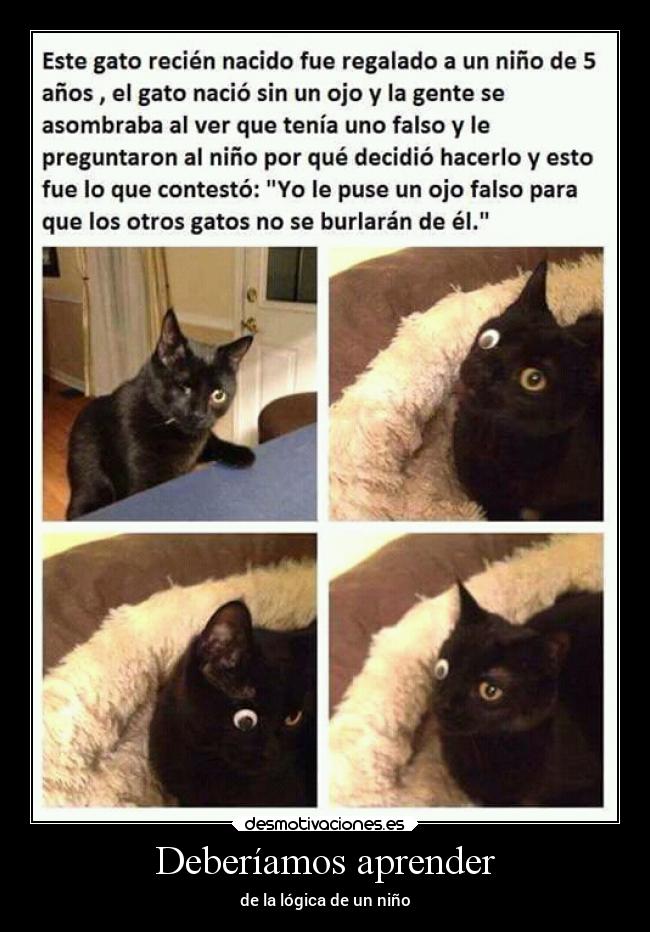 Deberíamos aprender - 