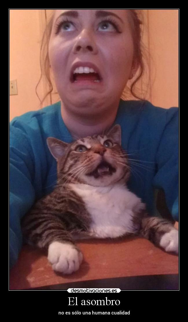 El asombro - 