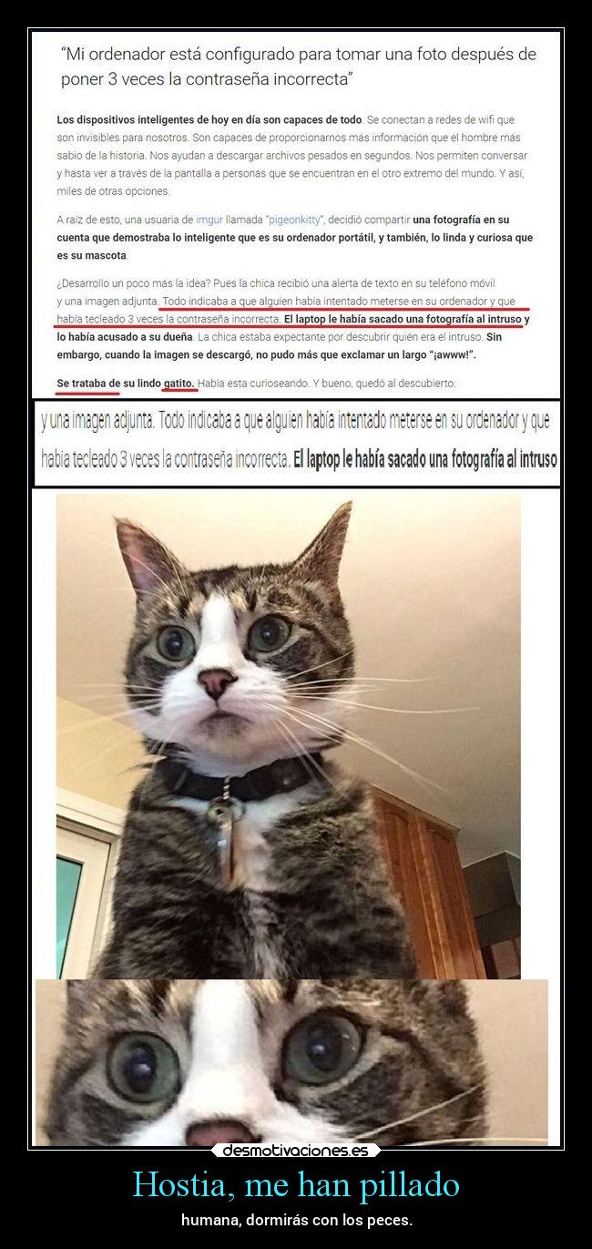 Hostia, me han pillado - humana, dormirás con los peces.